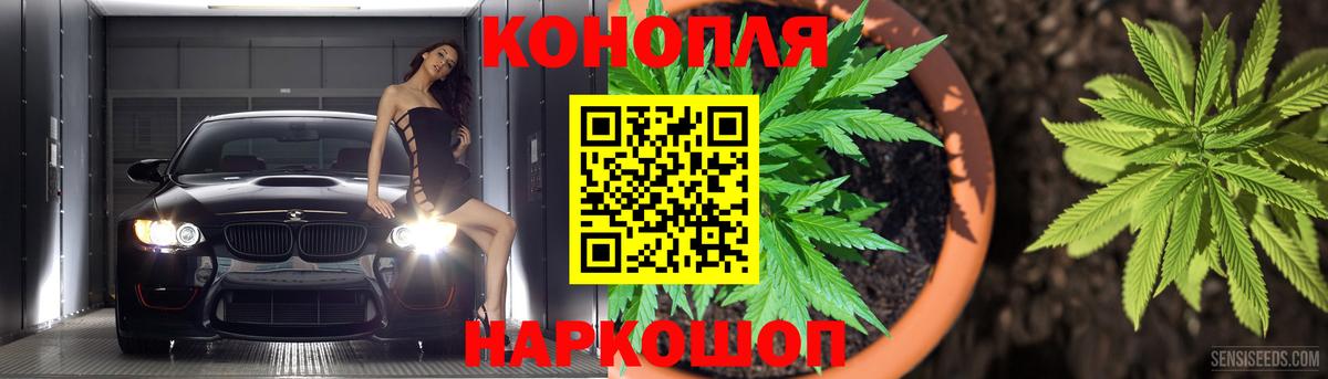 Бошки Шишки гибрид Карпинск